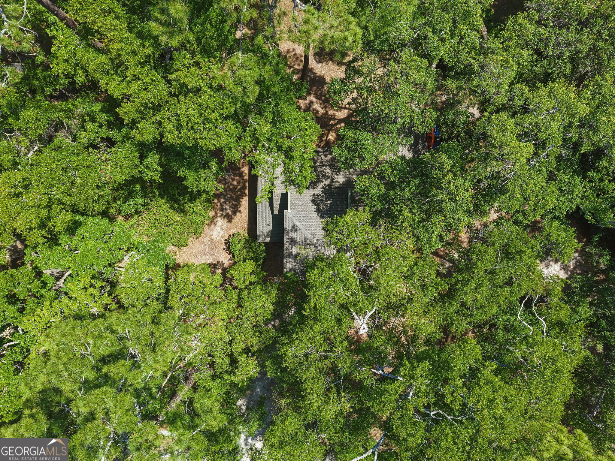 1294 Mush Bluff Road Property Photo 3
