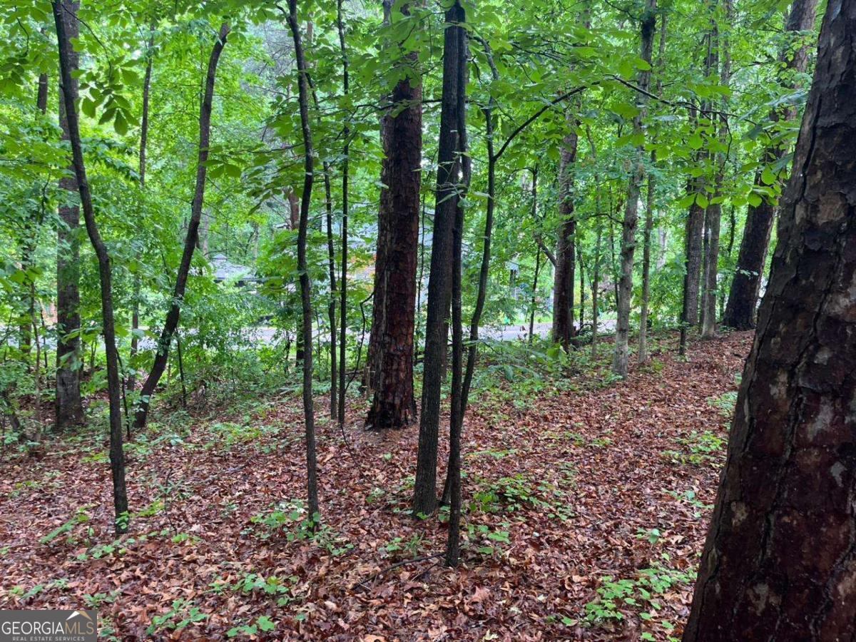0 Lake Club Drive Property Photo 1