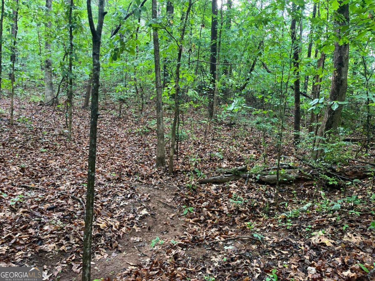 0 Lake Club Drive Property Photo 2