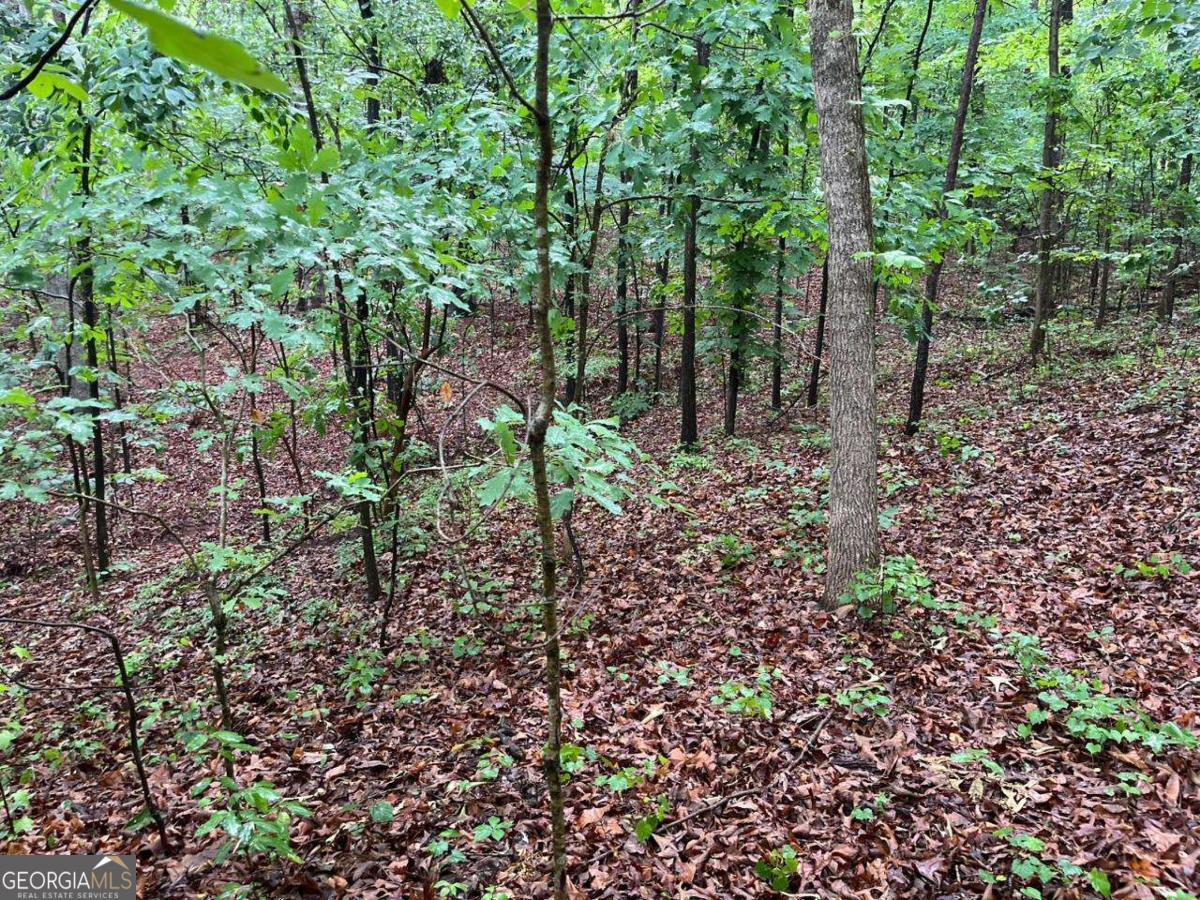0 Lake Club Drive Property Photo 3