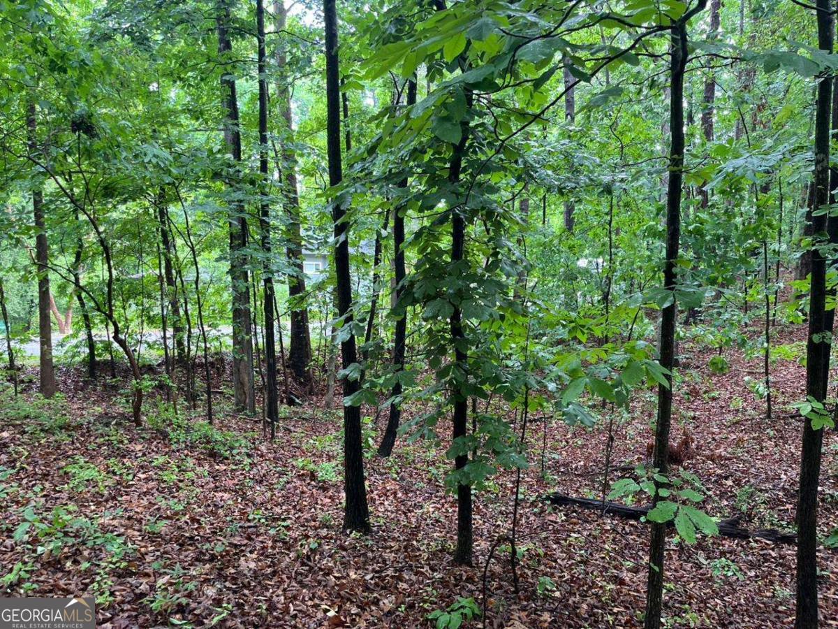 0 Lake Club Drive Property Photo 4