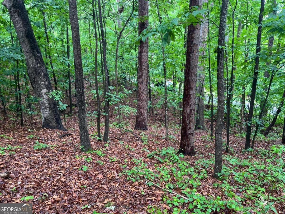 0 Lake Club Drive Property Photo 5