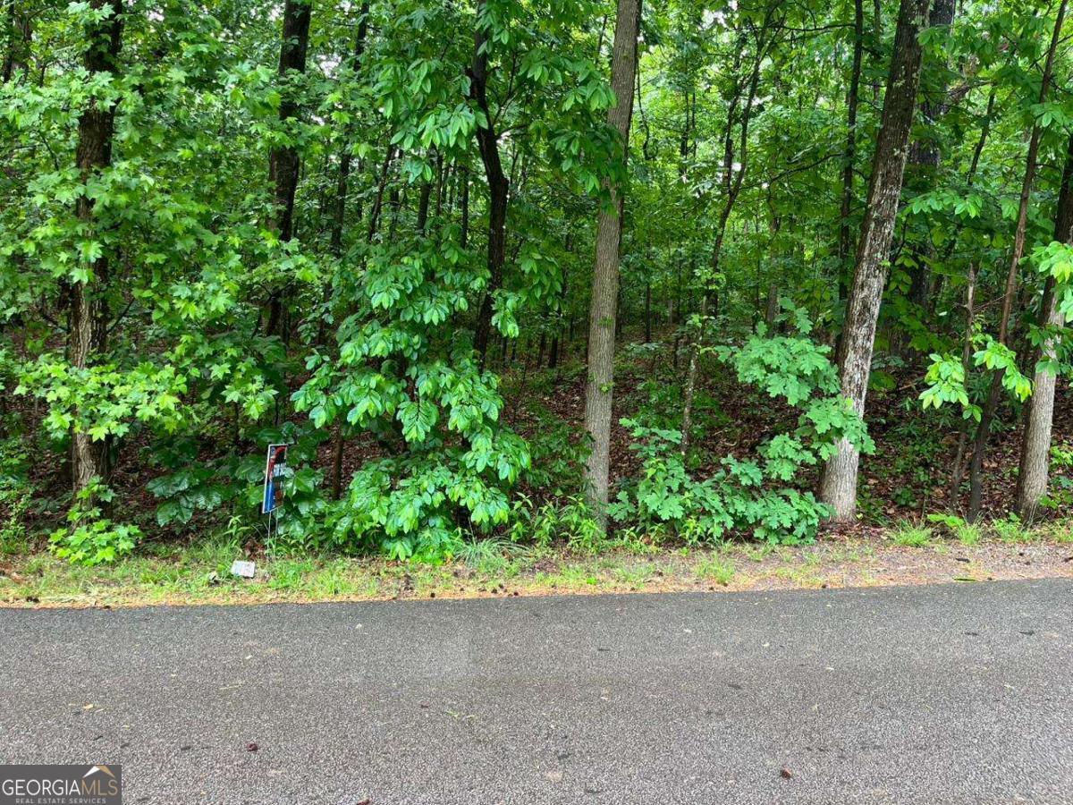 0 Lake Club Drive Property Photo 7