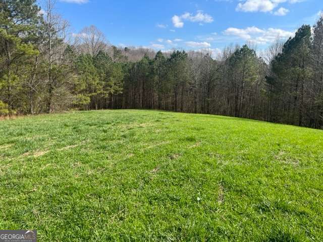 3011 Mark Foster Road Property Photo 2