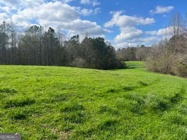 3011 Mark Foster Road Property Photo 3