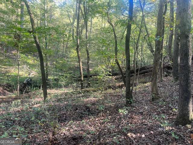 3011 Mark Foster Road Property Photo 4