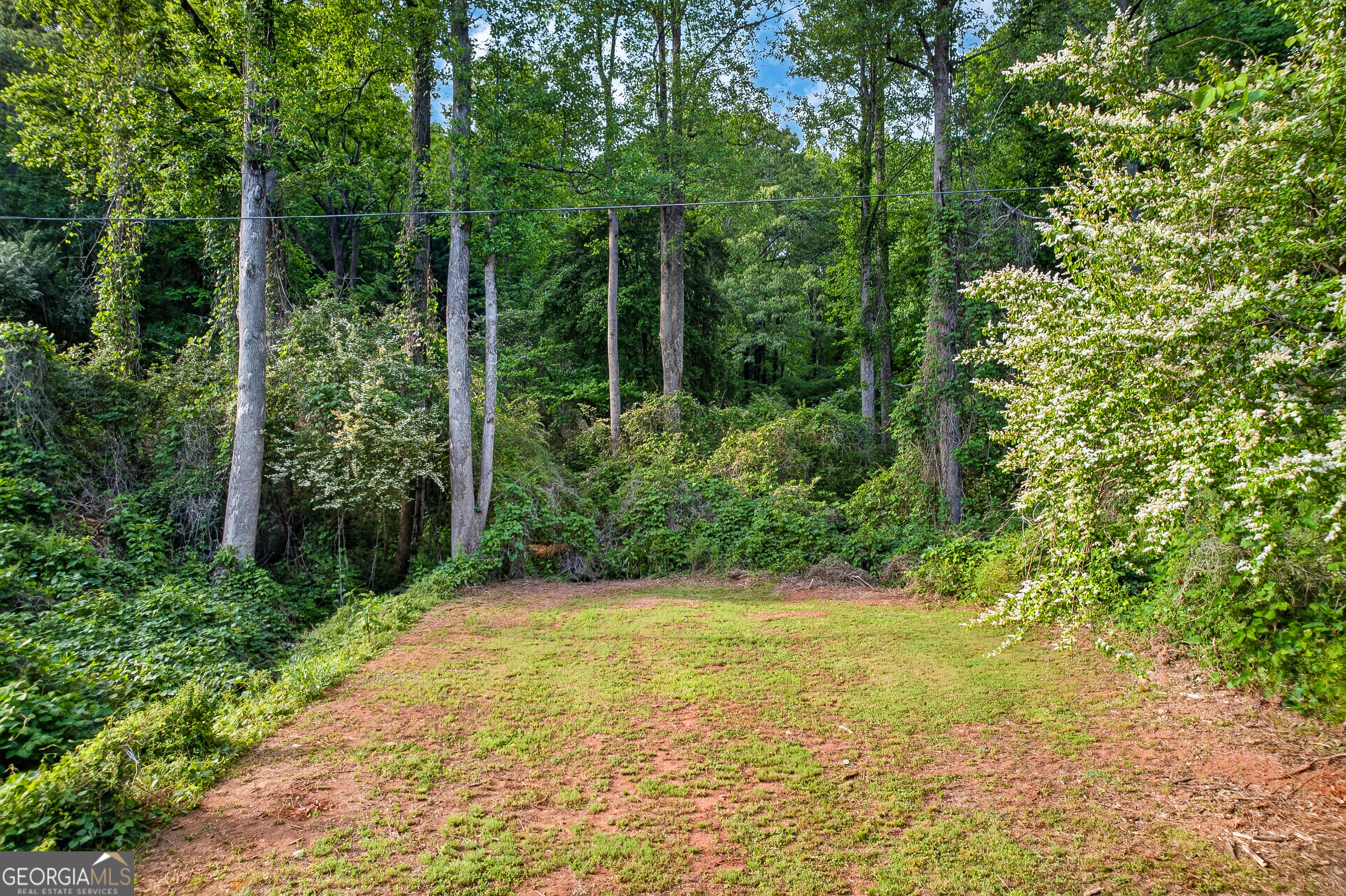 165 Porter Springs Road Property Photo 7