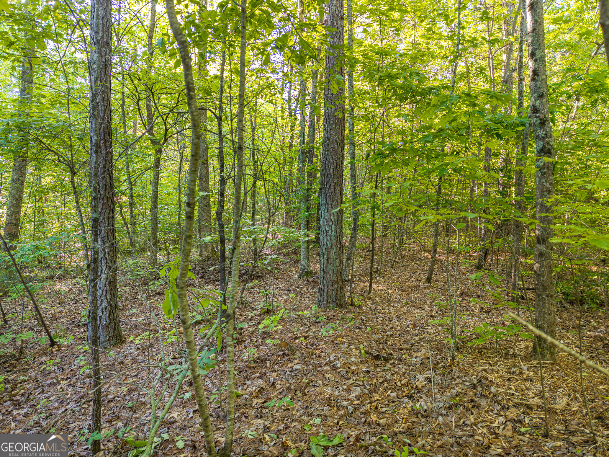 Lot 42 Harris Creek Drive Property Photo 2