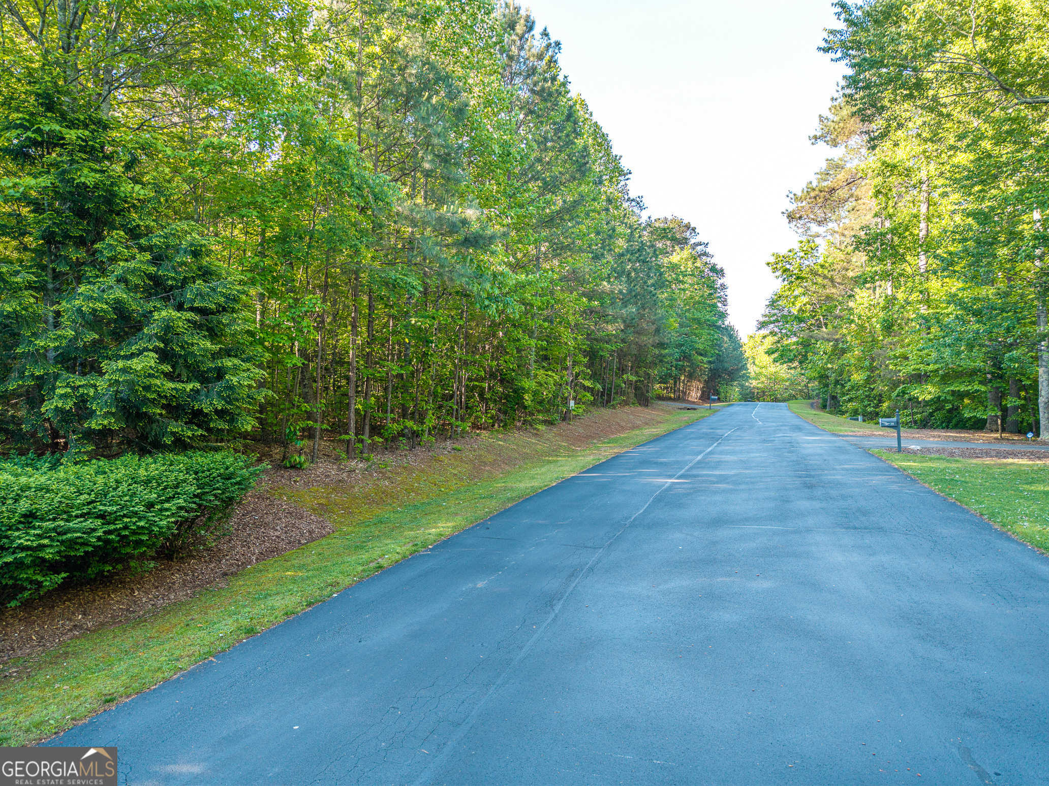 Lot 42 Harris Creek Drive Property Photo 11