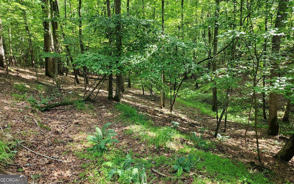 LOT 838 Oneida Circle Property Photo 1