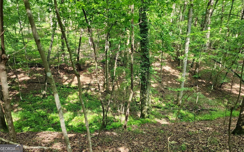 Lot 838 Oneida Circle Property Photo 2