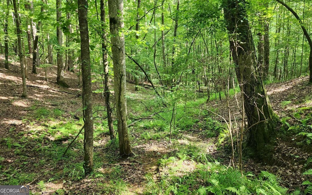 Lot 838 Oneida Circle Property Photo 3