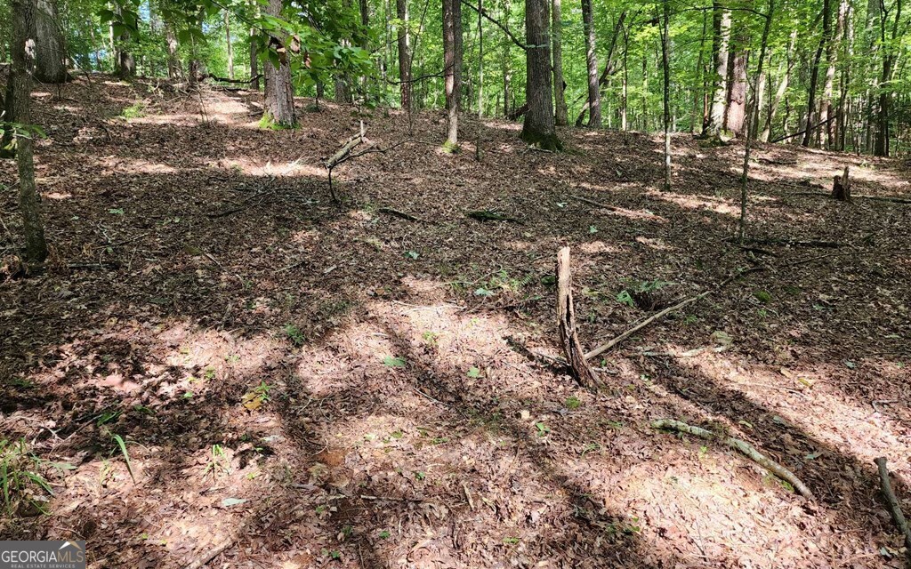 Lot 838 Oneida Circle Property Photo 4