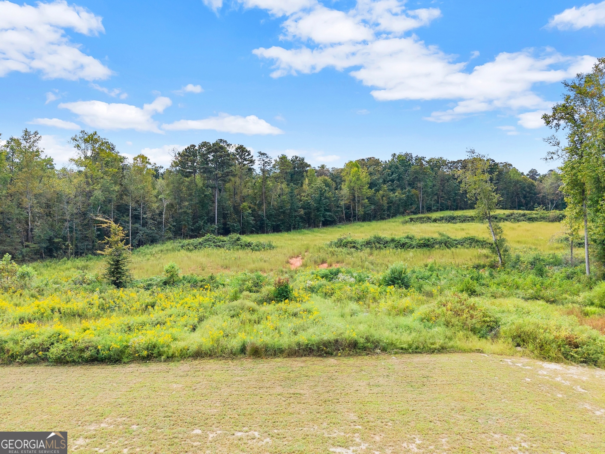 6147 Dahlonega Highway Property Photo 82