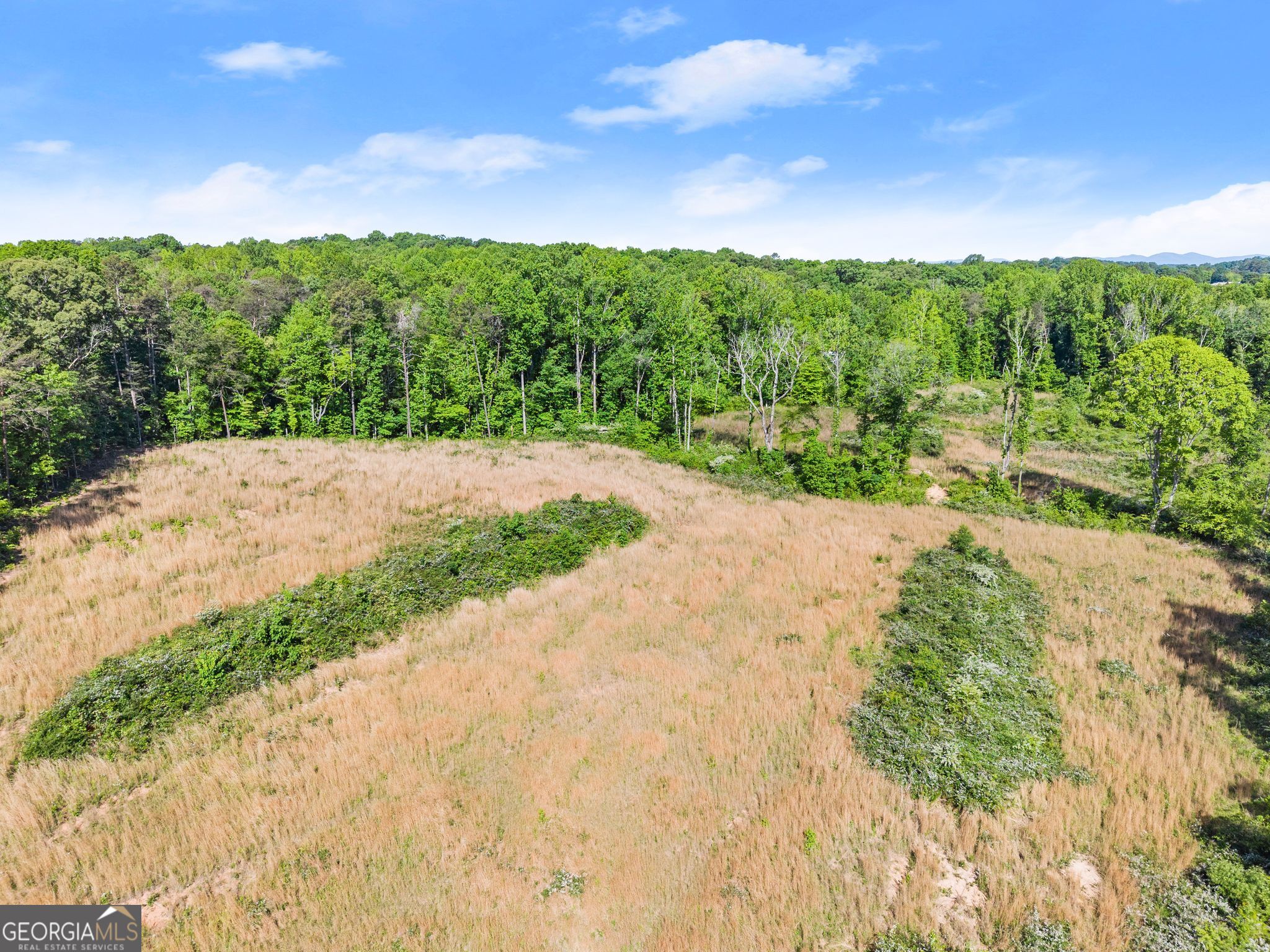 6147 Dahlonega Highway Property Photo 83