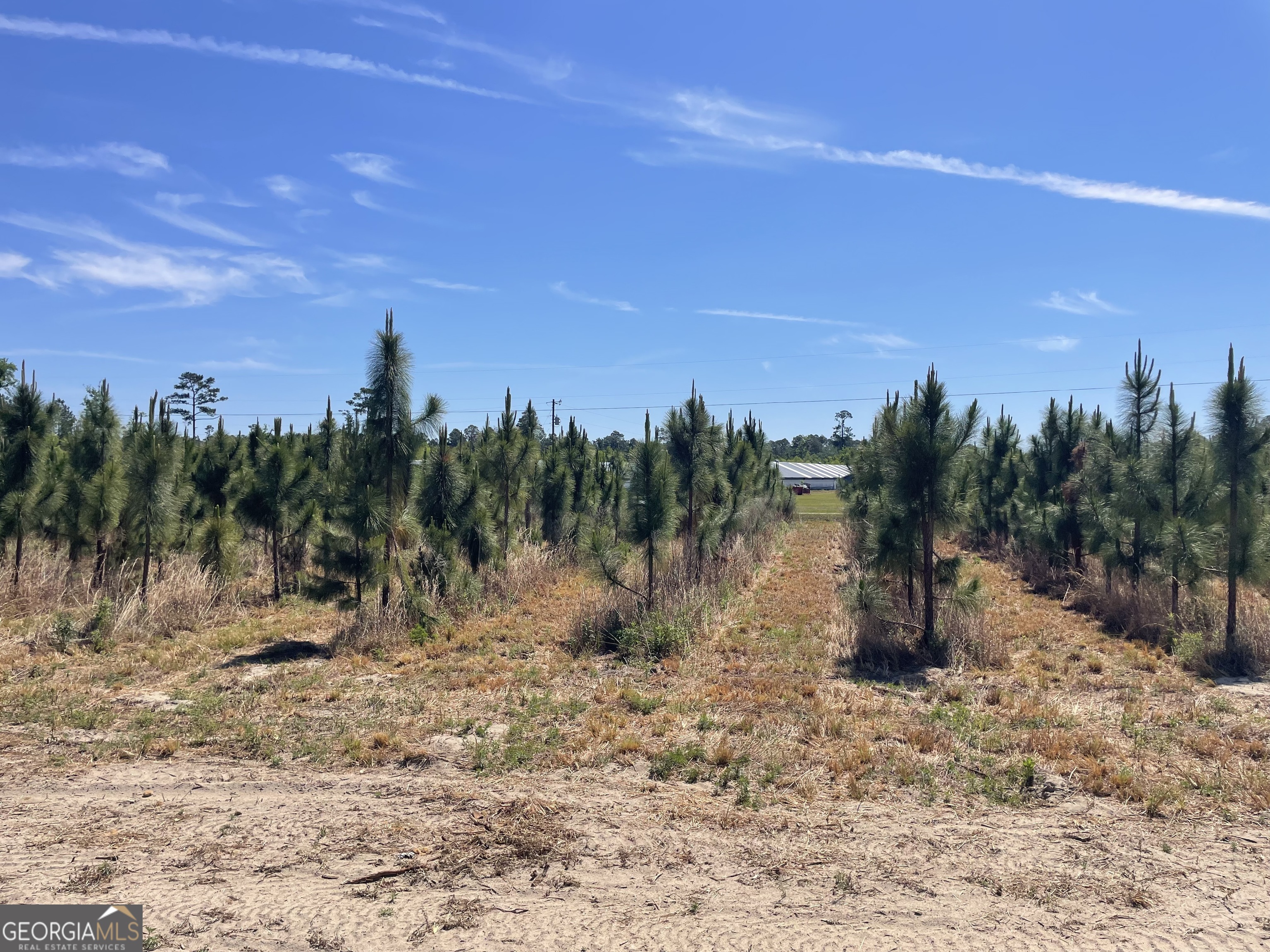 1153 Midway Church Road Property Photo 12