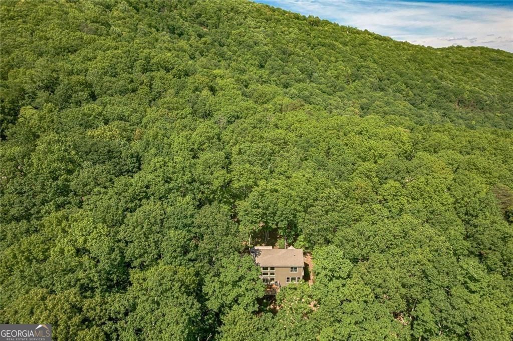 61 Deer Run Ridge Property Photo 11
