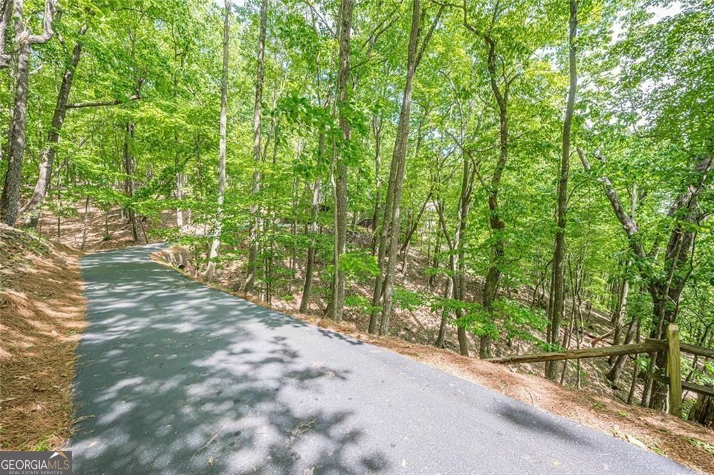 61 Deer Run Ridge Property Photo 48