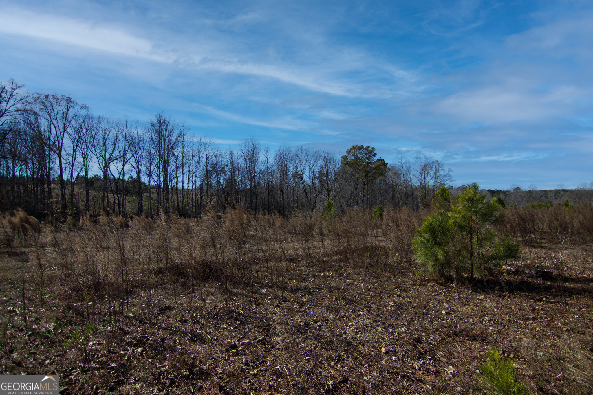 Tract 6 - 0 Chestnut Grove Road Property Photo 1