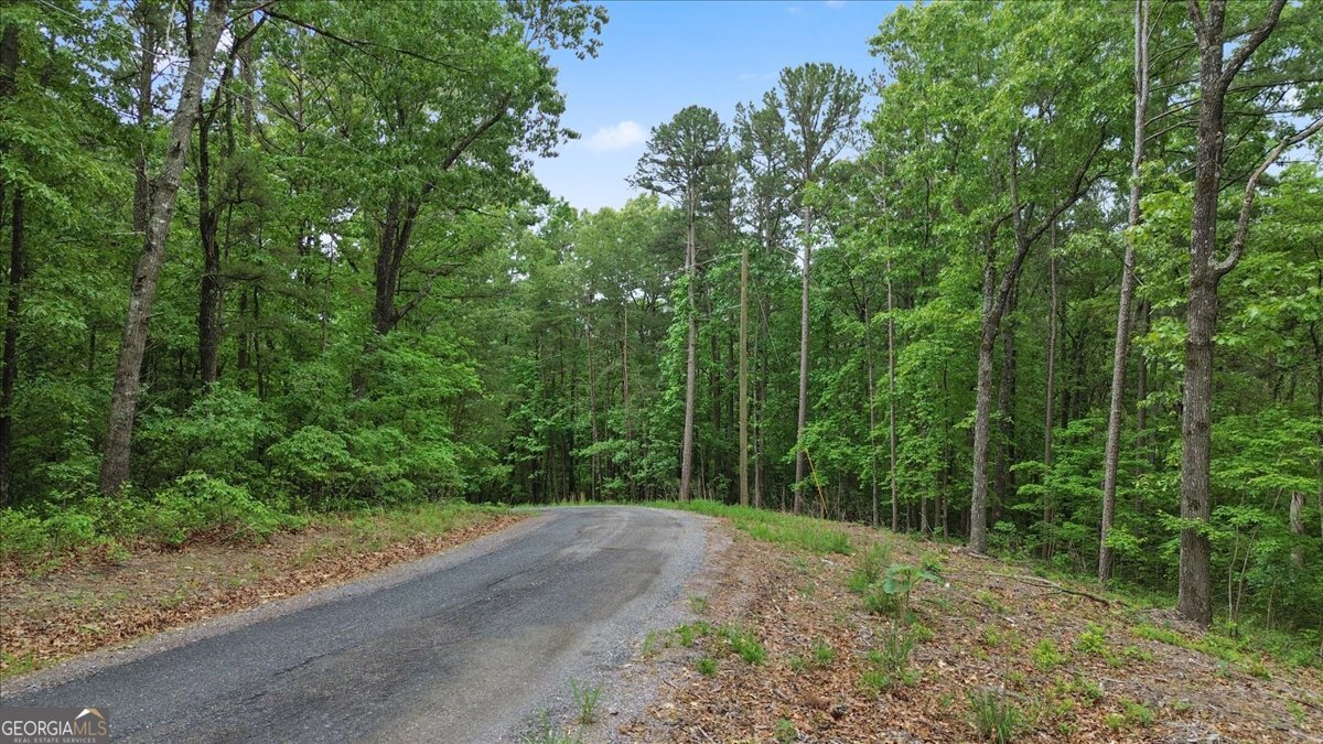 1563 Dover Circle Property Photo 11