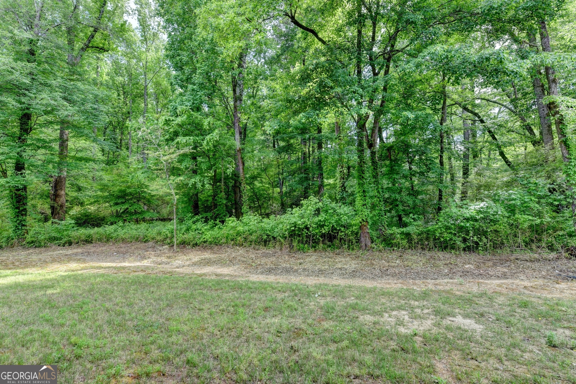 1370 Rumson Lane Property Photo 101