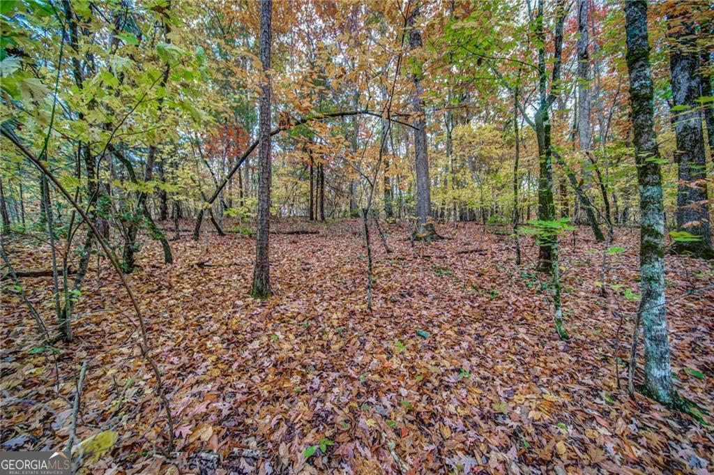 543 Cove Lake Drive Property Photo 2