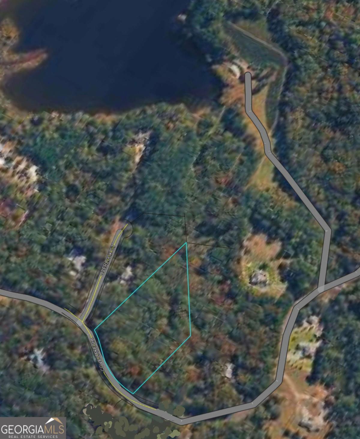 543 Cove Lake Drive Property Photo 3
