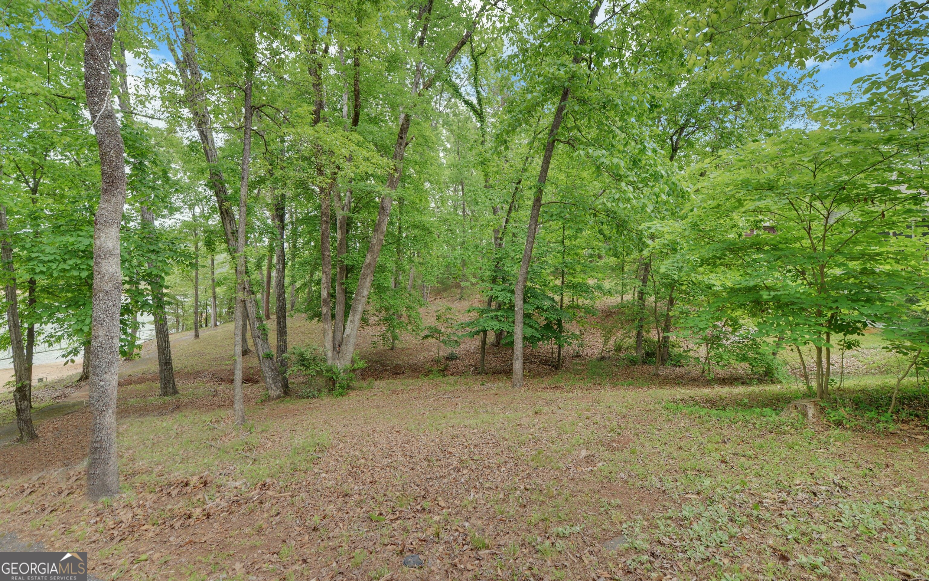 371 Shorewood Circle Property Photo 51