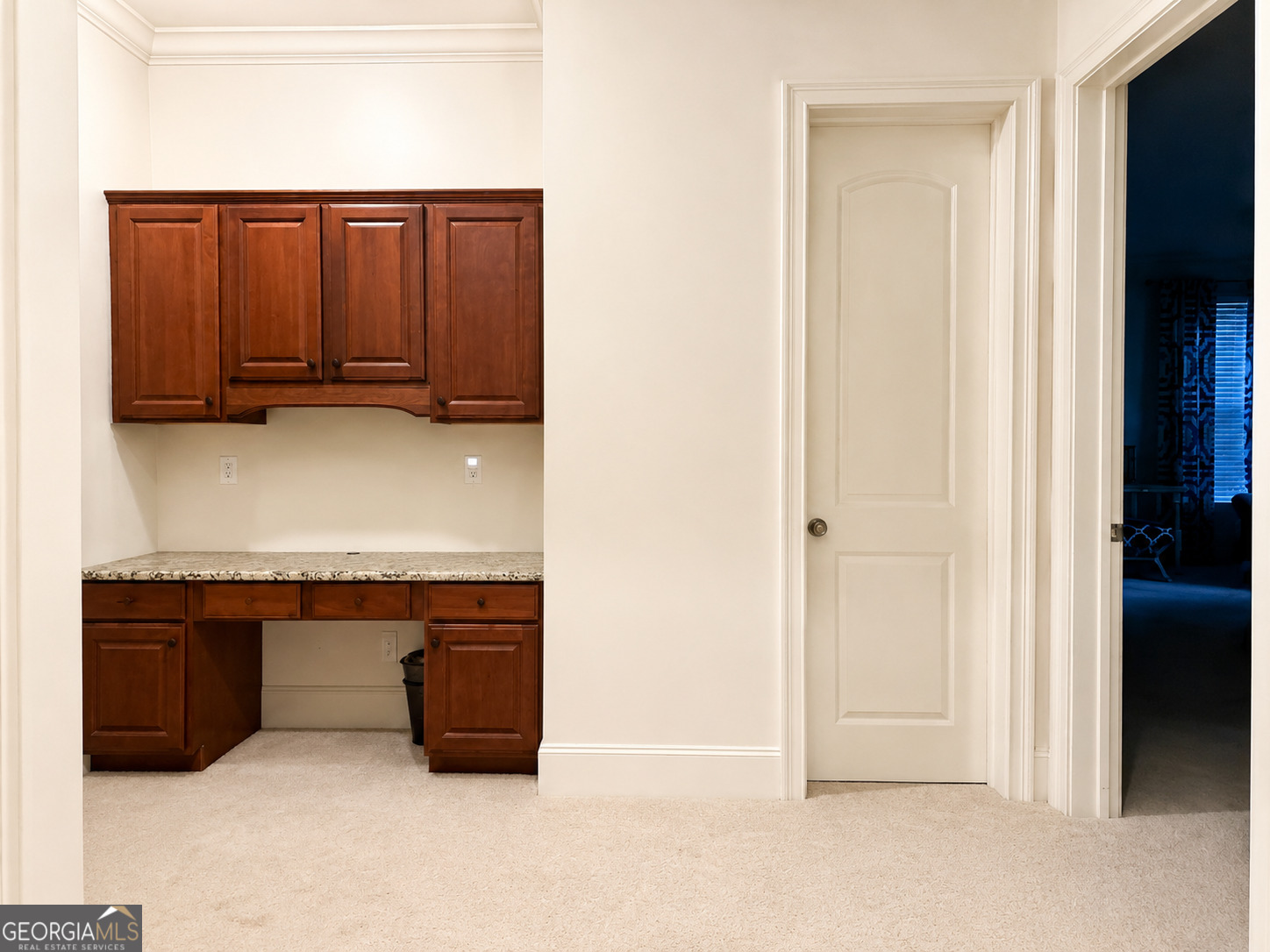 1305 Layor Court Property Photo 46