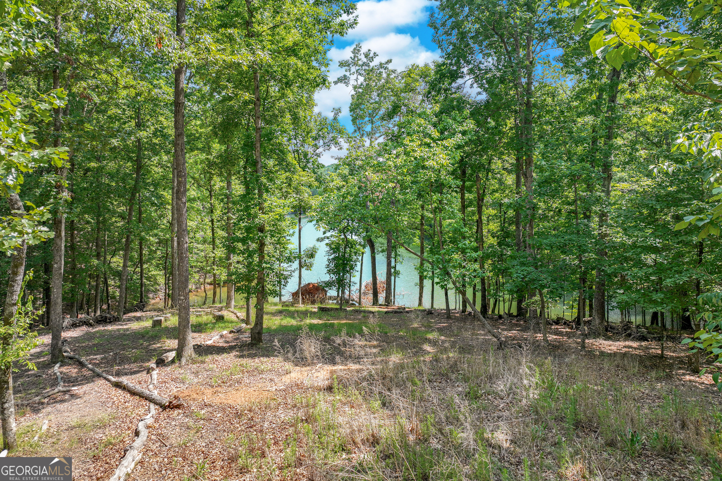 6226 Random Winds Bluff Property Photo 68