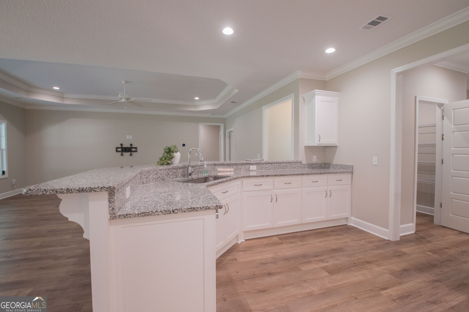 187 Pistachio Lane Property Photo 4