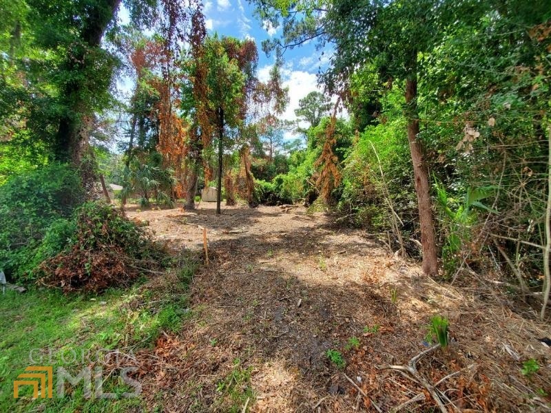 0 Norris Street Property Photo 2