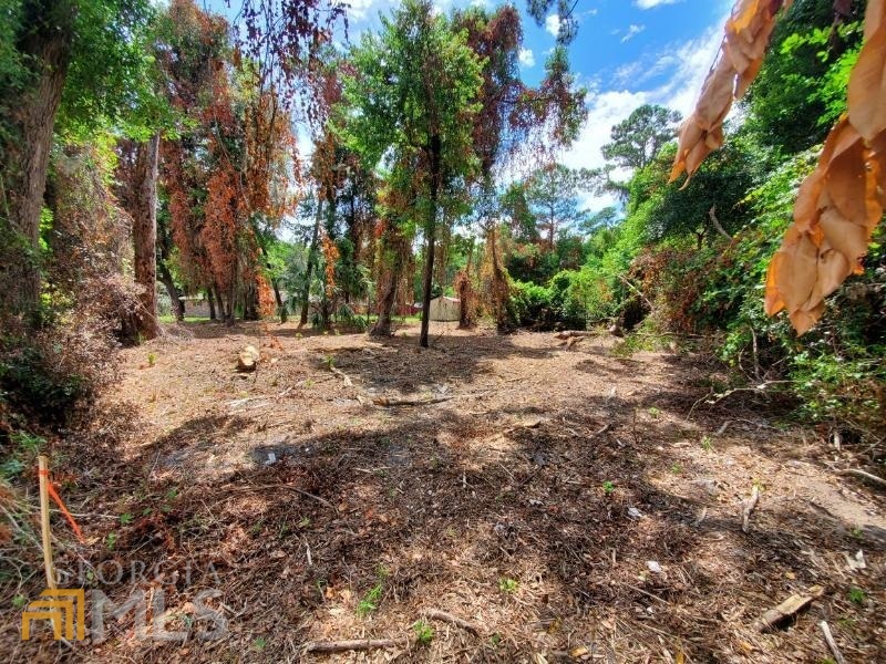 0 Norris Street Property Photo 3