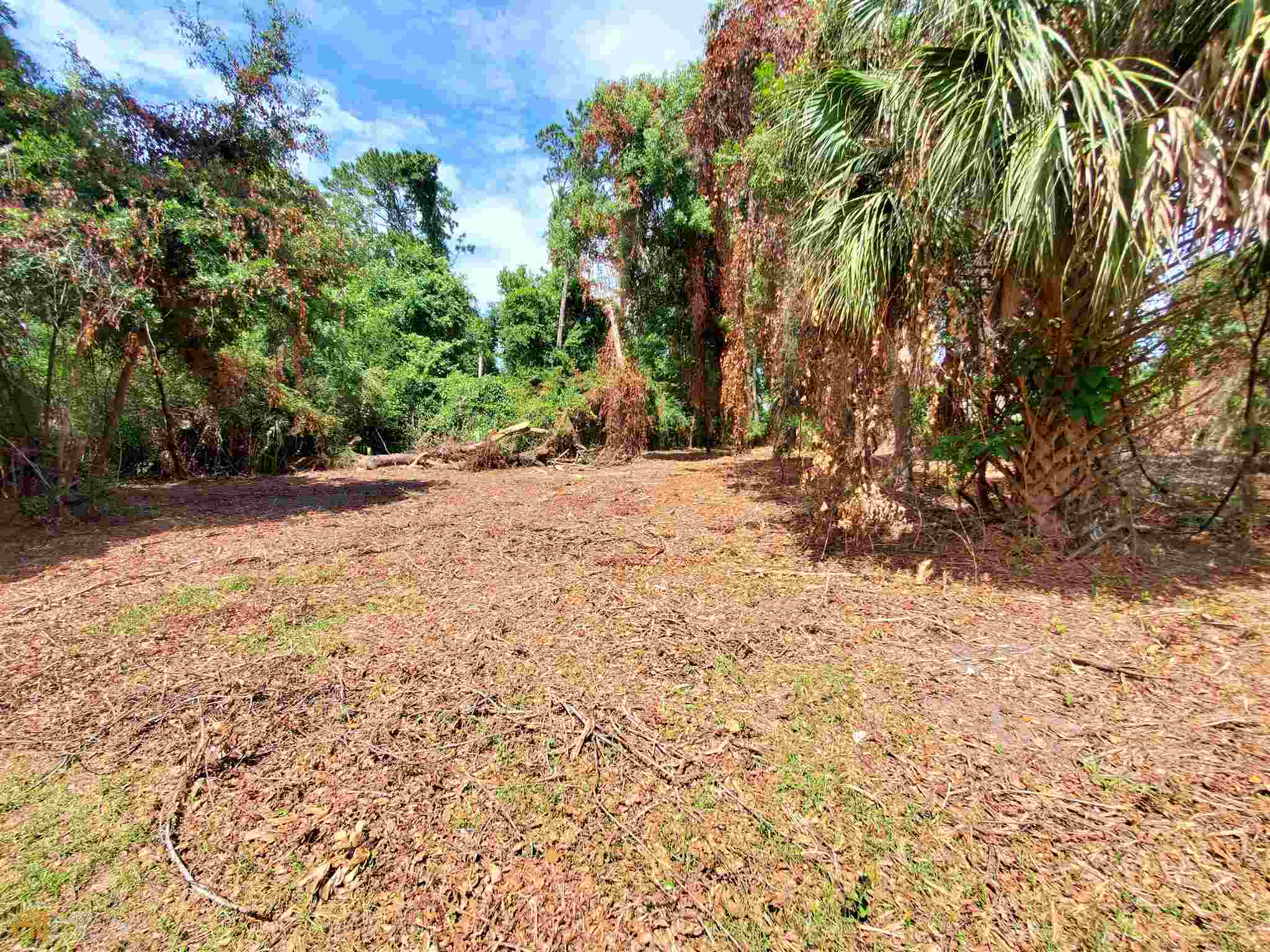 0 Norris Street Property Photo 6