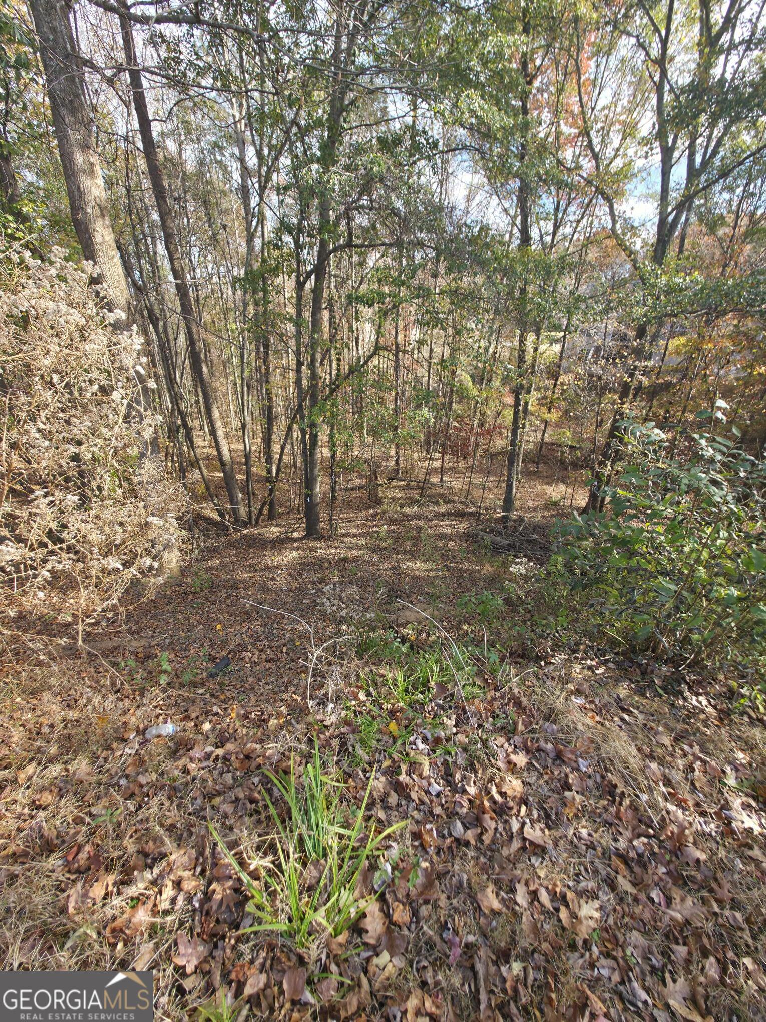2412 Snowshoe Bend Property Photo 1