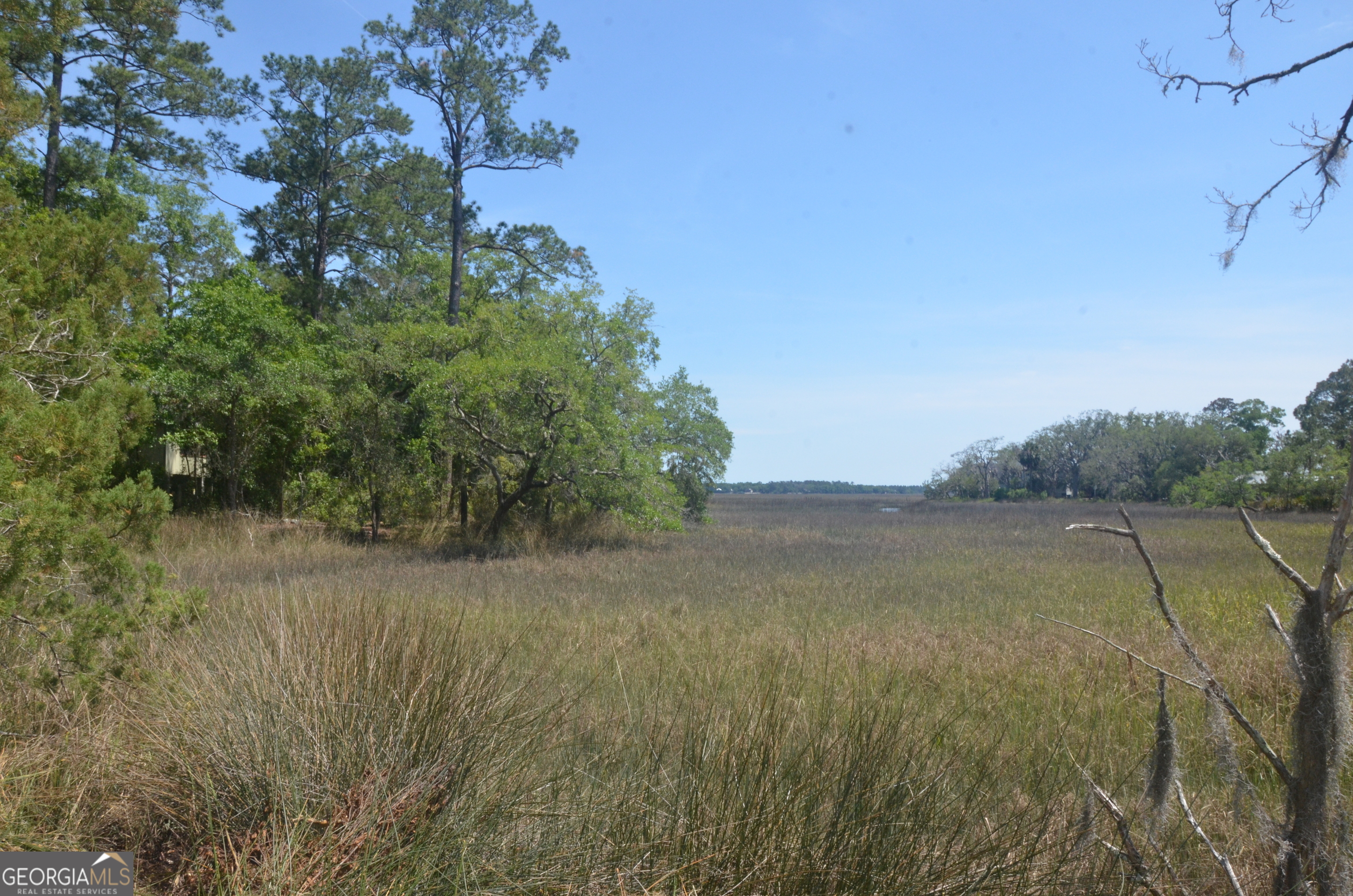 569 Crooked River Drive Property Photo 3