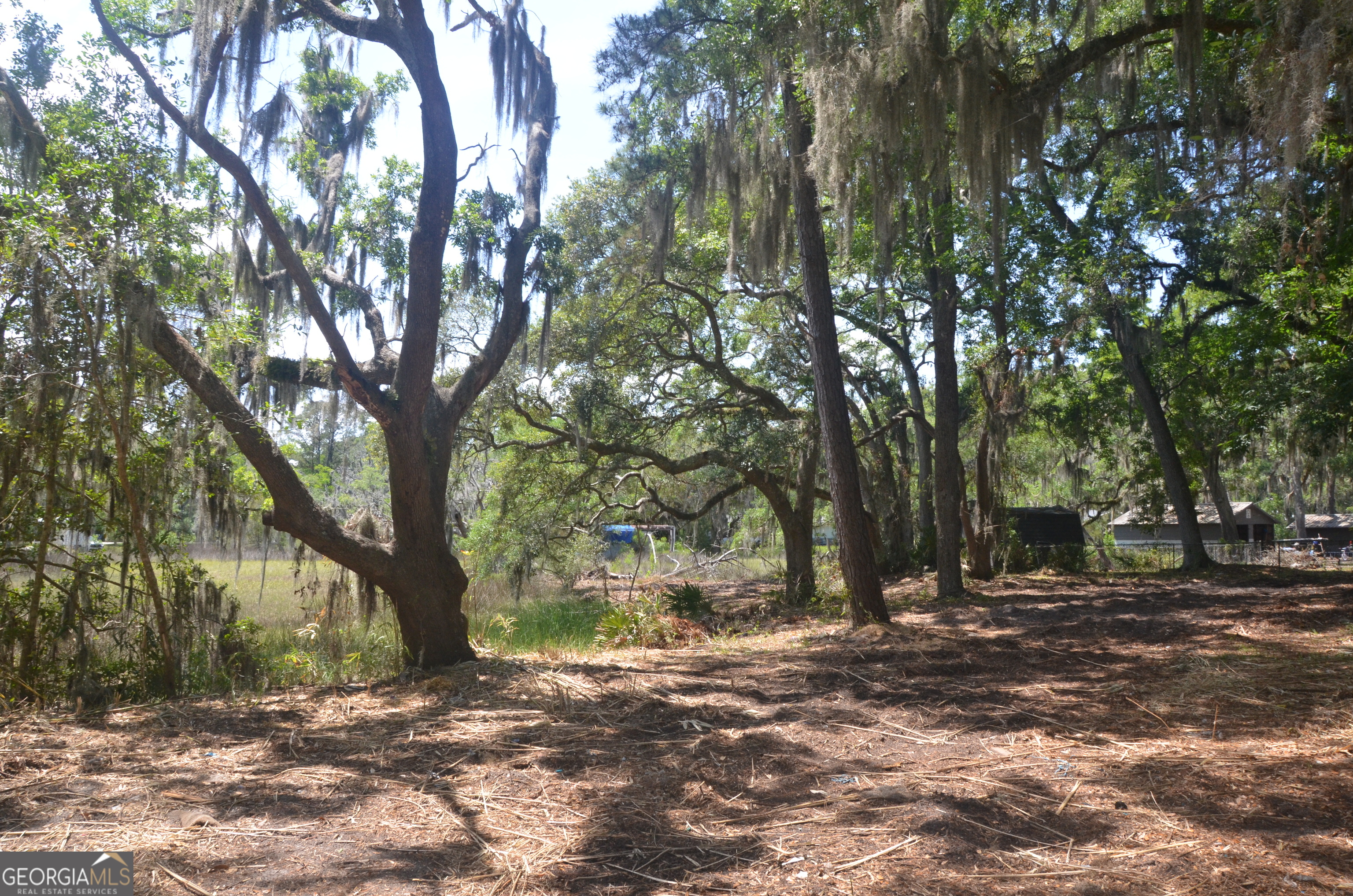569 Crooked River Drive Property Photo 28