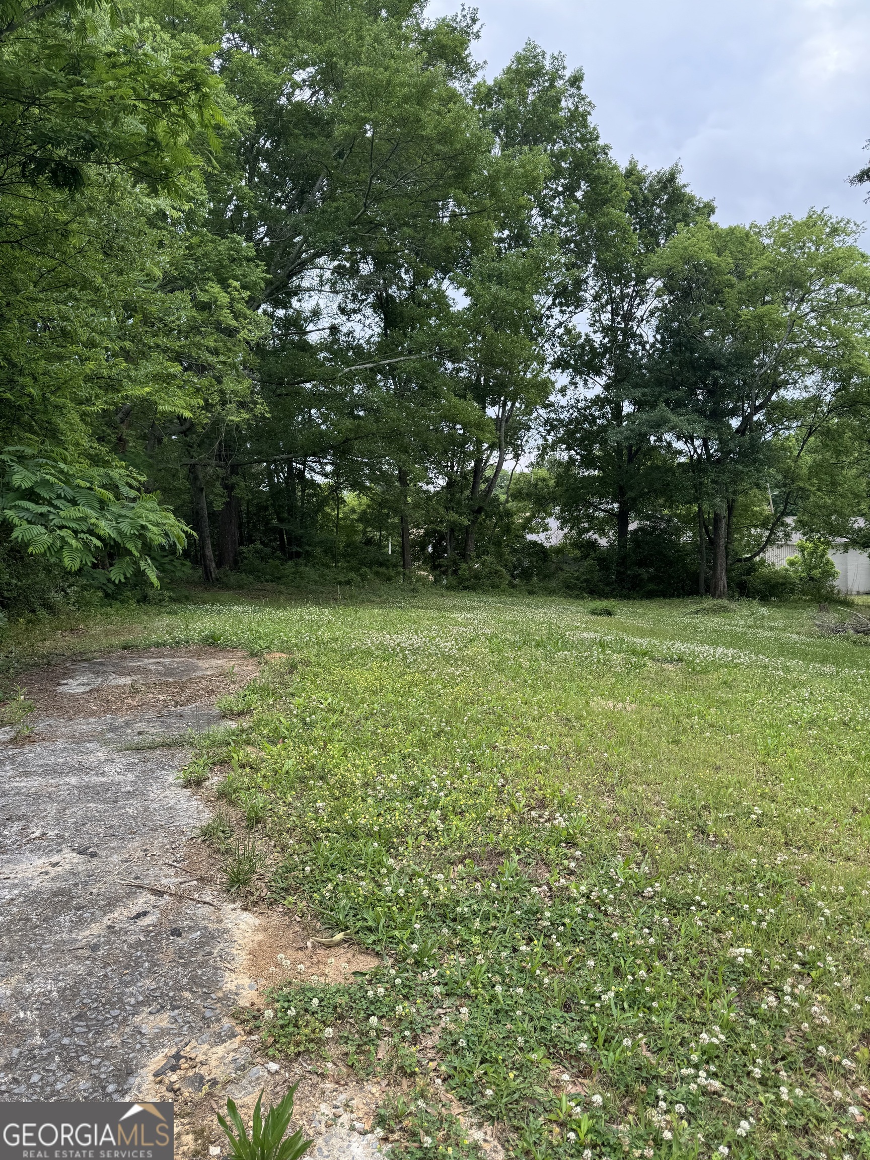 0 Pace Street Property Photo 2