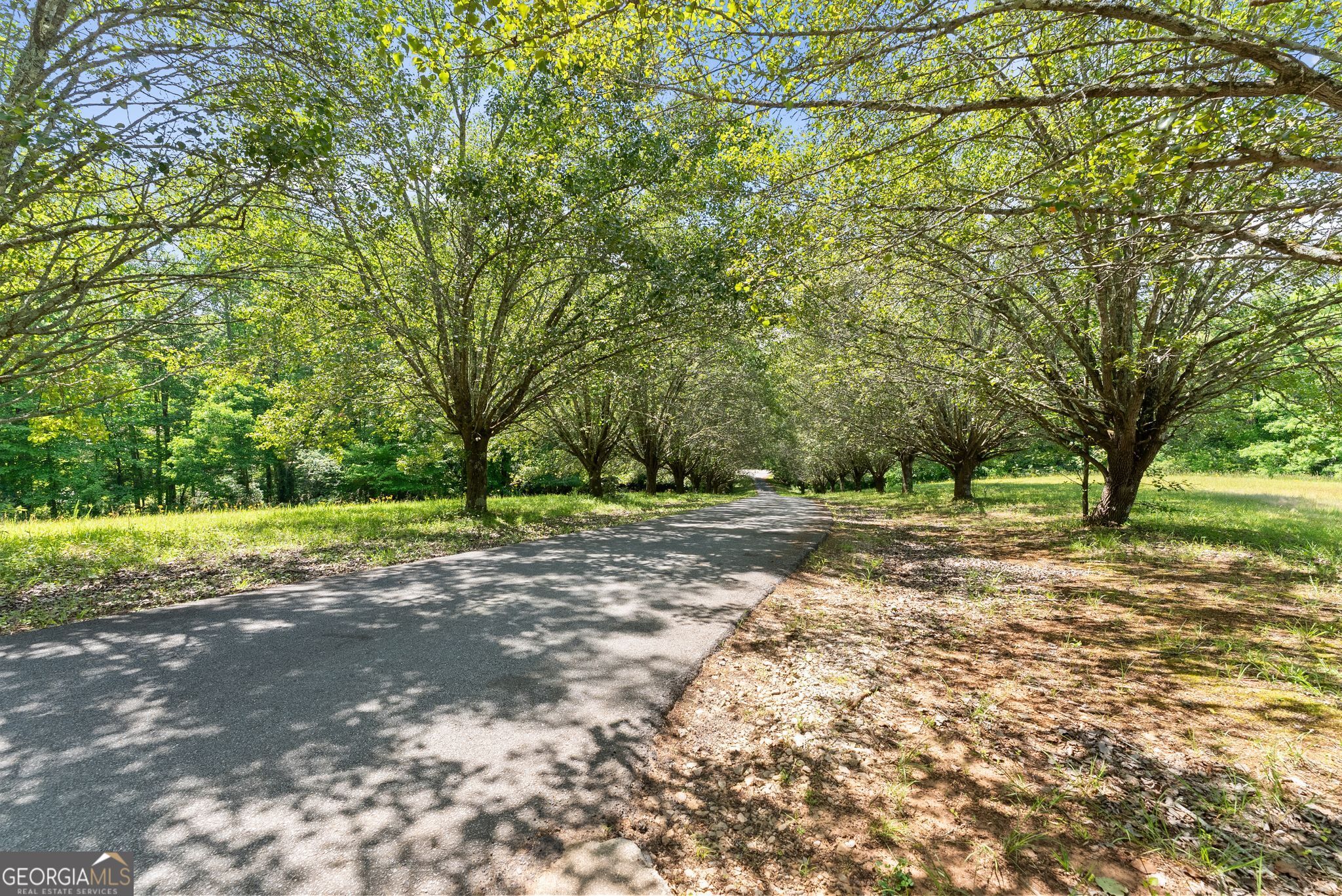 5137 Strickland Road Property Photo 31