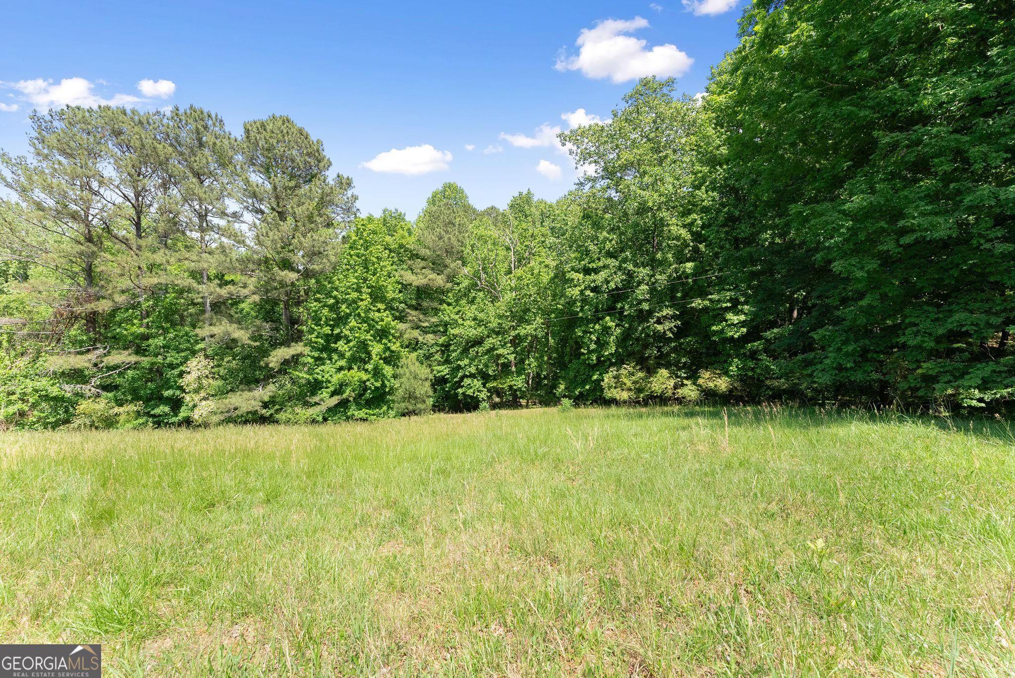 5137 Strickland Road Property Photo 32