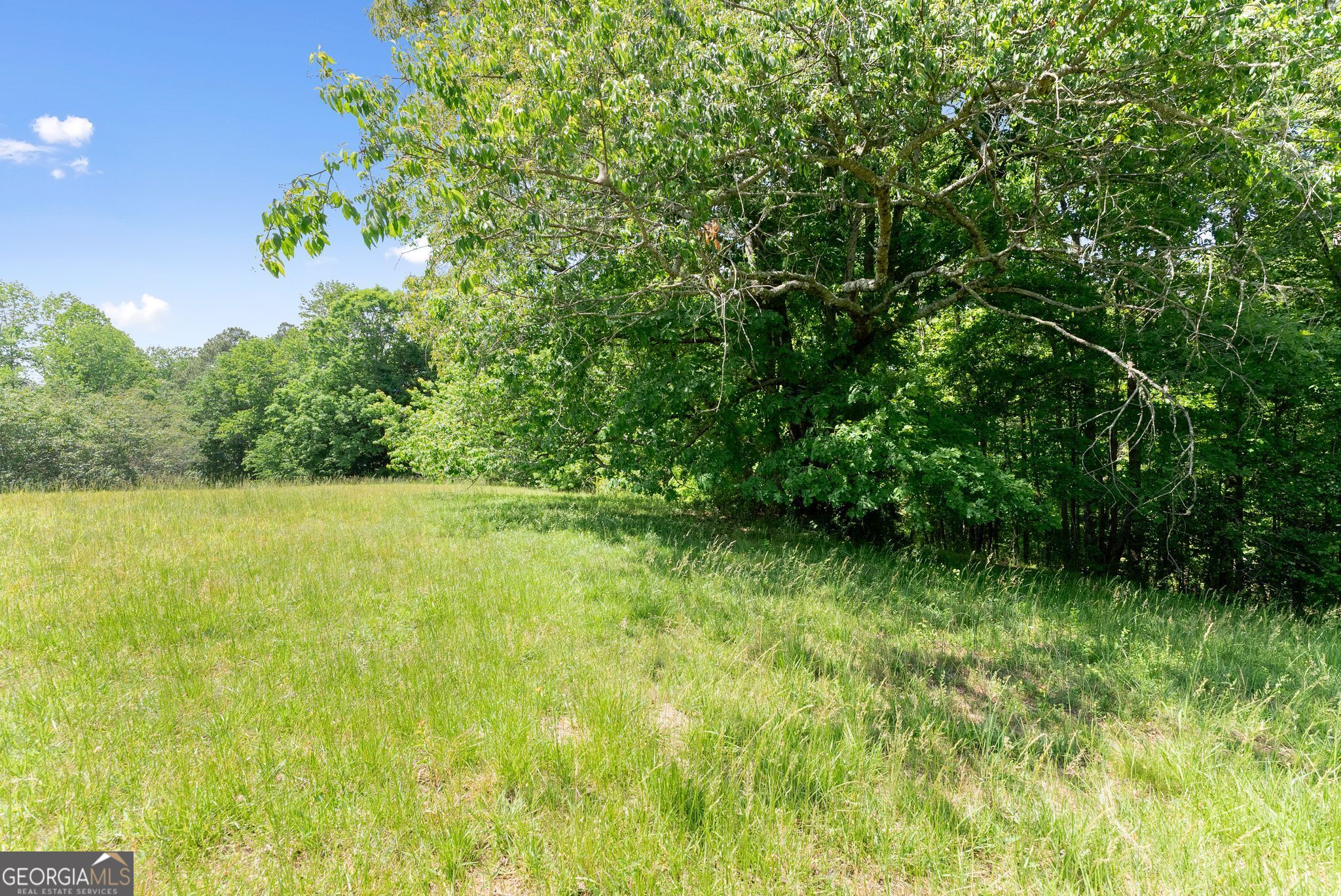 5137 Strickland Road Property Photo 33