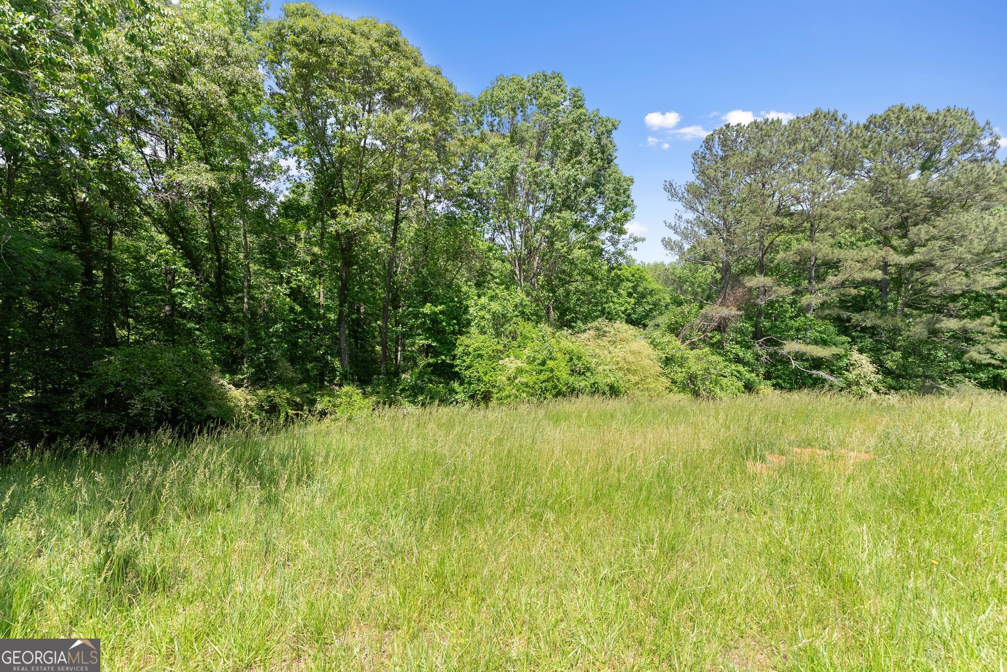 5137 Strickland Road Property Photo 34