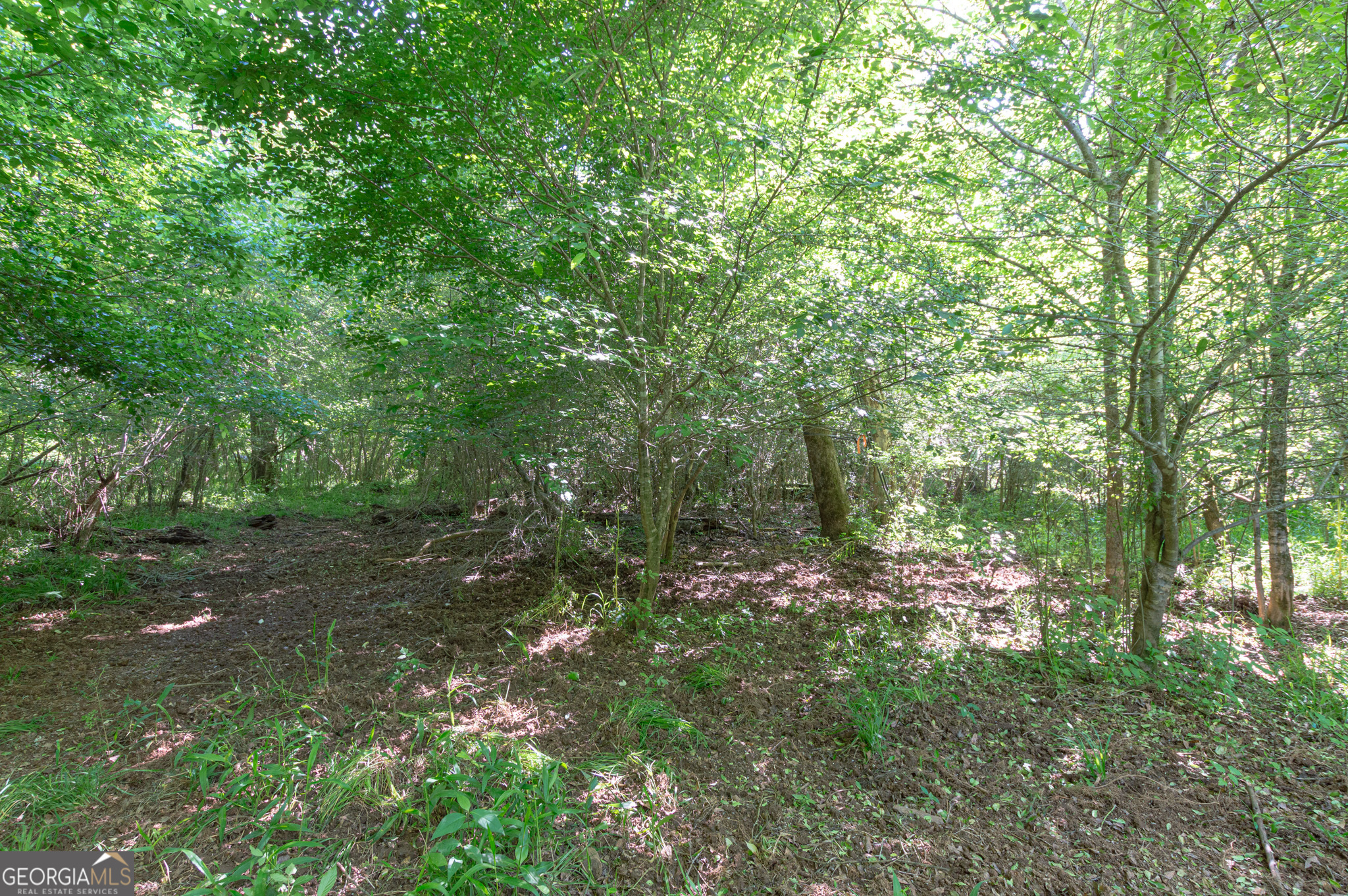 0 Apt-to-miss Road Property Photo 7