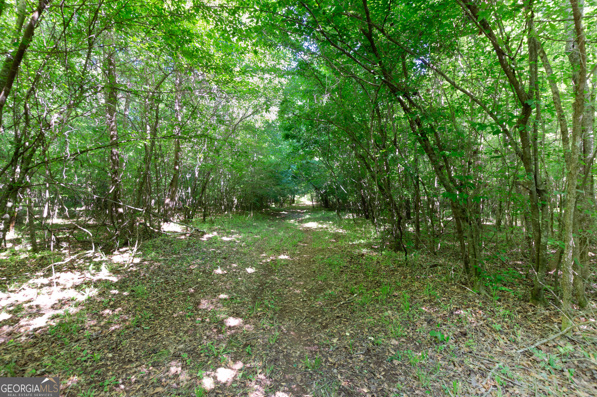 0 Apt-to-miss Road Property Photo 13