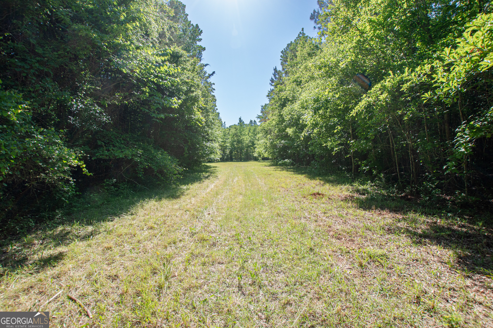 0 Apt-to-miss Road Property Photo 15