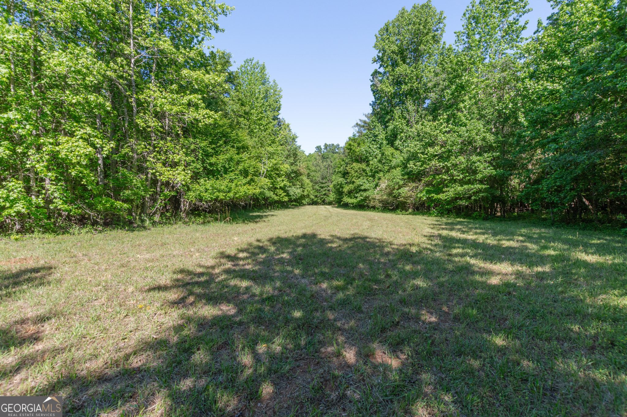 0 Apt-to-miss Road Property Photo 16