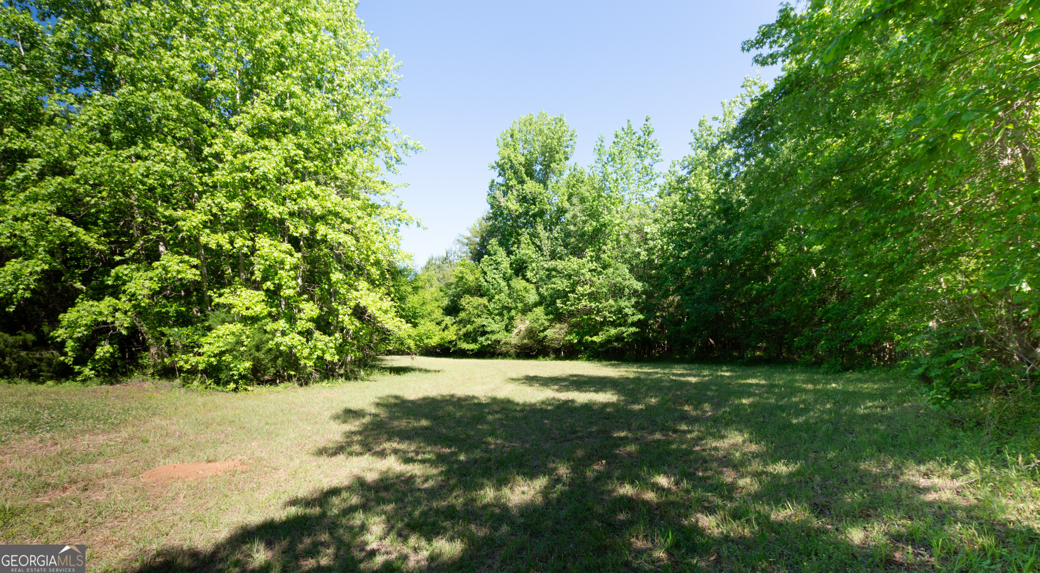 0 Apt-to-miss Road Property Photo 17