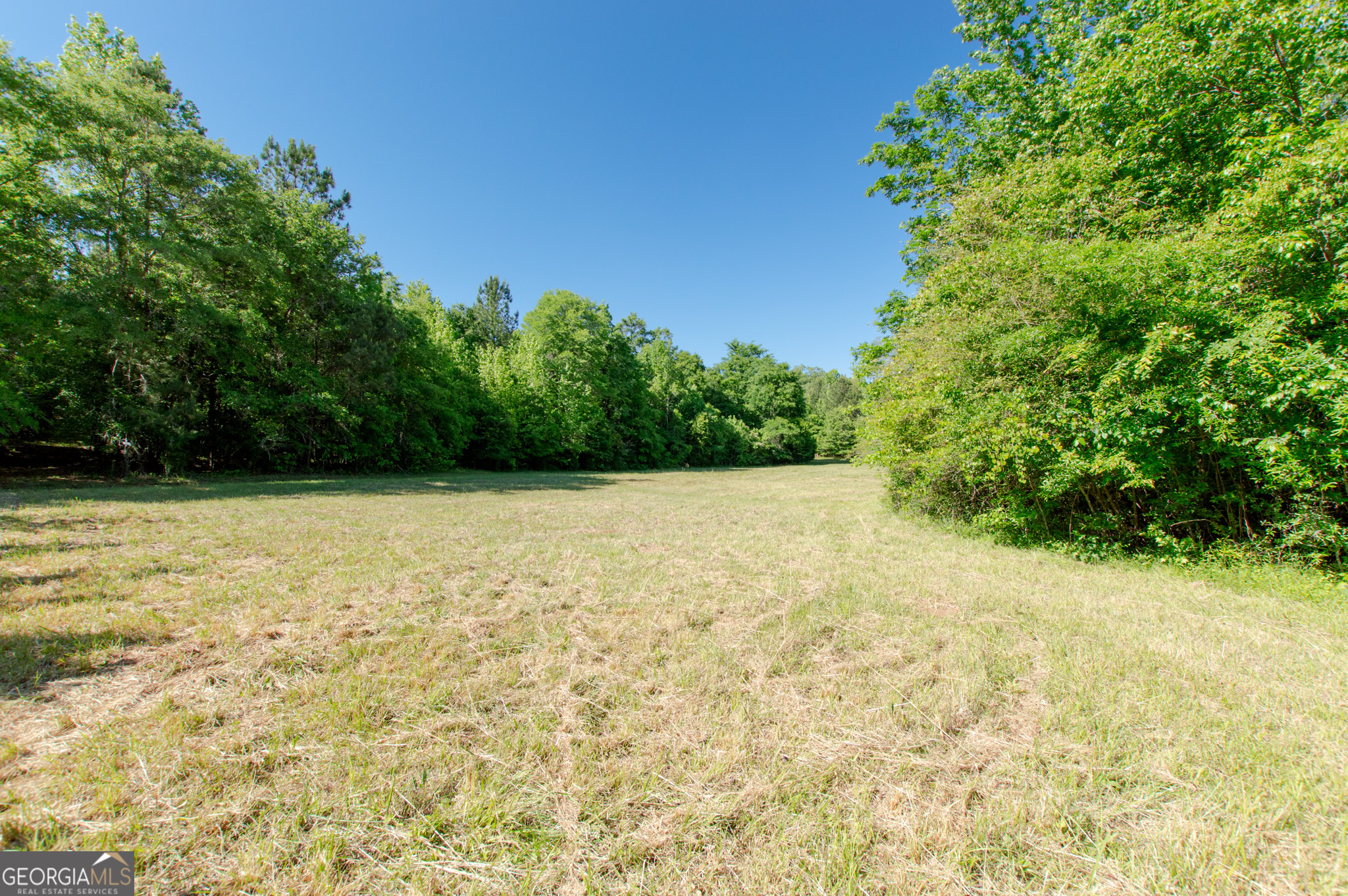 0 Apt-to-miss Road Property Photo 18