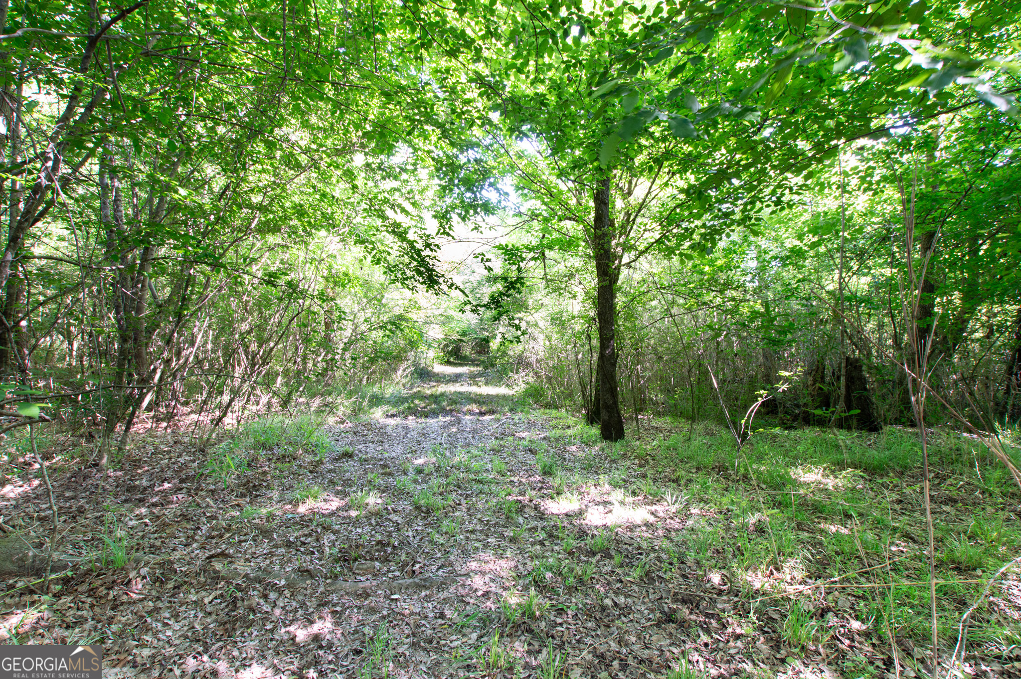 0 Apt-to-miss Road Property Photo 20