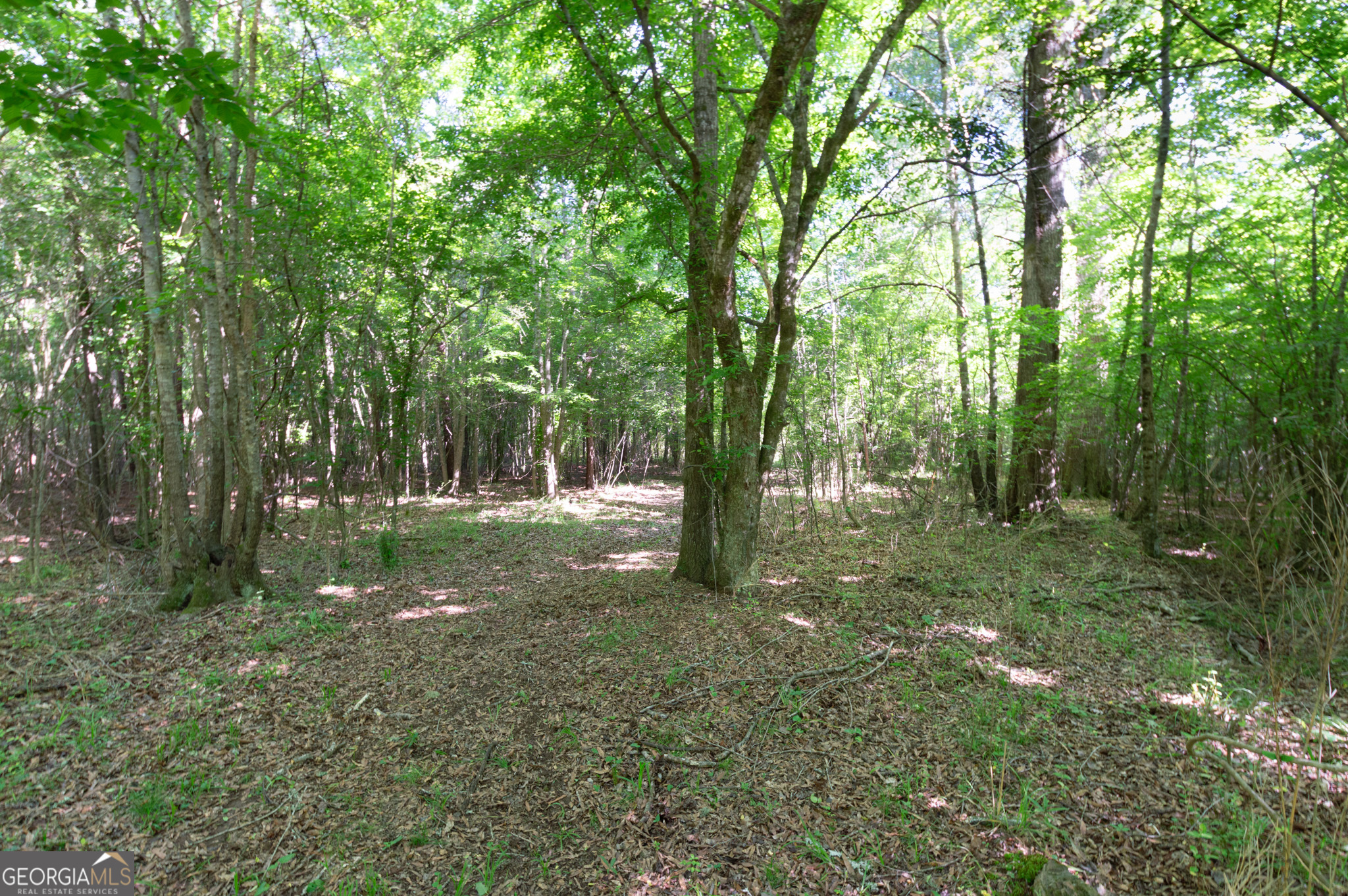 0 Apt-to-miss Road Property Photo 21